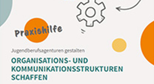 Coverausschnitt der Praxishilfe "Organisations- und Kommunikationsstrukturen schaffen"